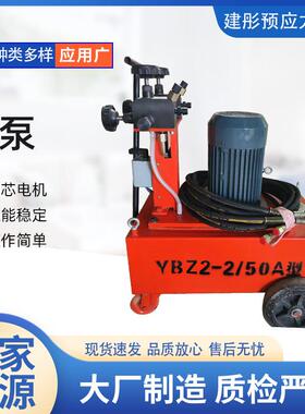 电动高压油泵厂家销售YBZ系列50型60型机油节能节能高效