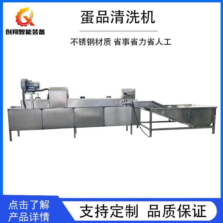 养殖场禽蛋清洗流水线双排鸡蛋清洗消毒机五香蛋加工前段洗蛋机