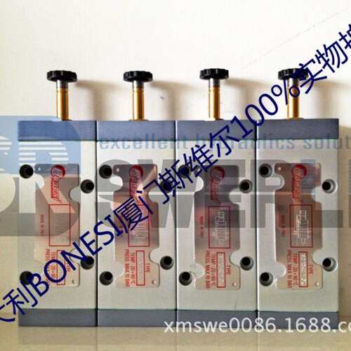 原装EC13401/3L/E3/8220V意大利BONESI/BONCSI中国服务中心