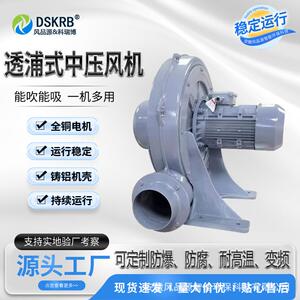 大风量TB100工业用变频中压鼓风机锅炉助燃风机风品源DSKRB