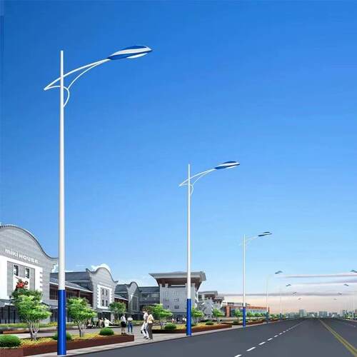 LED市电路灯220V庭院景观灯太阳能路灯高杆灯道路照明生产厂家