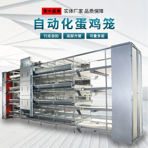 鸡笼蛋鸡笼养殖机械设备阶梯式养殖场厂大层叠蛋鸡鸡用雏鸡大型