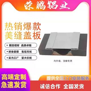 建筑变形缝内外墙伸缩缝屋面楼地面变形缝不锈钢铝合金伸缩缝盖板