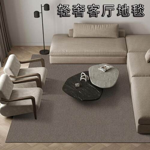 摄影棚直播间羊毛地毯网端红家展办公居室地毯满铺厅高羊毛菠萝圈