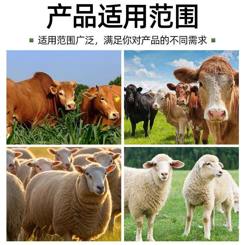 集乳器 挤奶机配件挤奶杯组牧场奶牛吸奶器配件现货供应240集乳器
