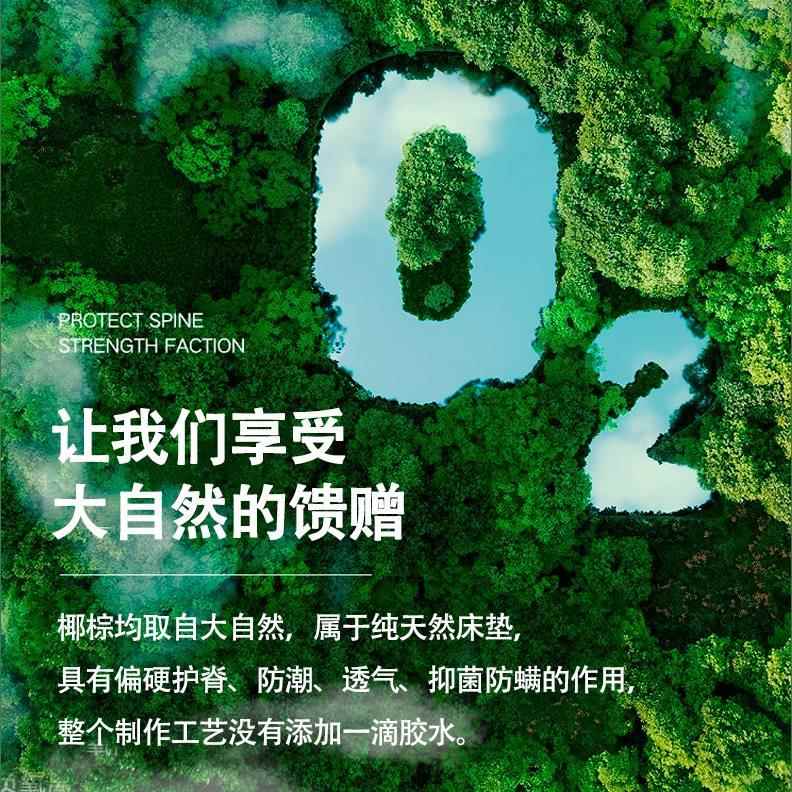 纯椰棕床垫无甲醛偏硬护腰儿童3e环保家用榻榻米全棕榈加硬定制
