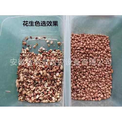 小型色选 料大米花生瓜子色机花椒选药材机豆子筛选塑选色Z-1机形