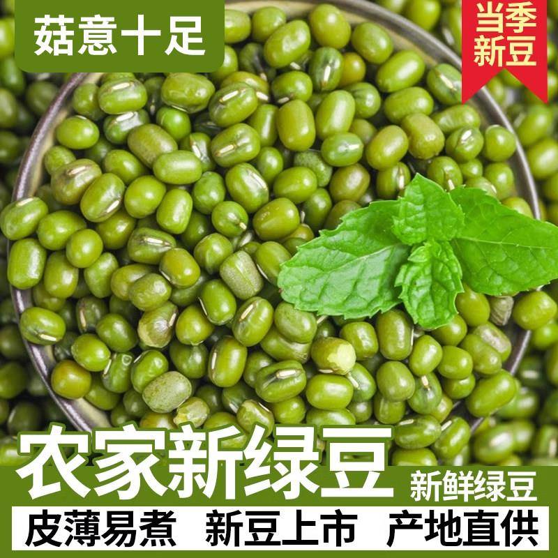 农家自产新鲜绿豆解暑东北出沙绿豆汤材料粒大绿豆芽粥五谷杂粮