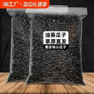 油葵黑珍珠小瓜子油葵花籽内蒙古新货原味炒货生瓜子奶油薄盐零食