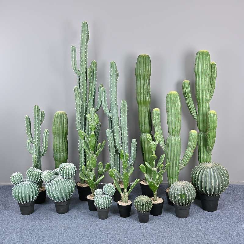 仿真热带植物仙人掌仙人柱球店铺橱窗装饰绿植盆栽商场美陈摆件