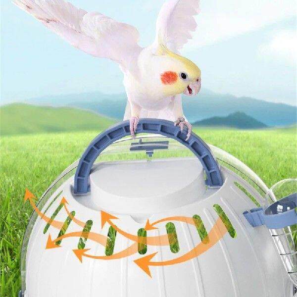 Small Animal Parrots Bag Easy To Carry Mini Box for Kid