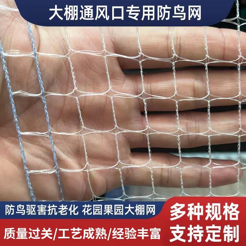 防鸟网果蔬大棚出风口网果园尼龙网樱桃树葡萄园防护网防鸟专用