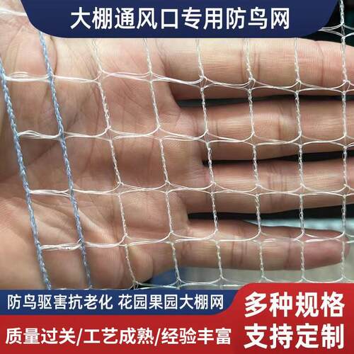 防鸟网果蔬大棚出风口网果园尼龙网樱桃树葡萄园防护网防鸟专用