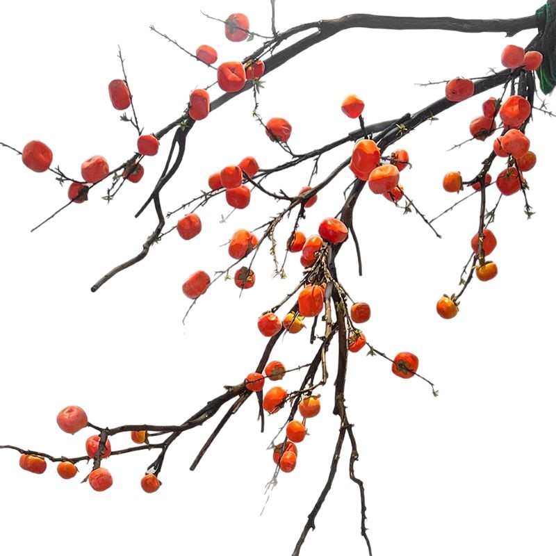 柿子树仿真酒店禅意式柿子精品悬挂倒挂中式橱窗室内外装饰树枝新