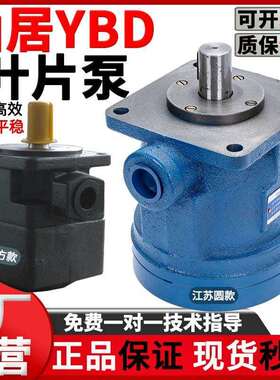 适用液压YBD叶片泵YBD-10 YBD-6/16/20/25/40/50/80/100油泵总成