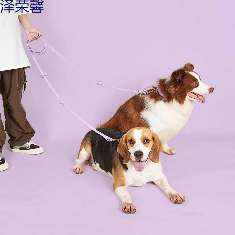 现货严选新款2.5米PVC斜跨栓腰多功能跑步狗狗牵引绳宠物绳狗,宠物/宠物食品及用品,狗牵引绳,淘宝优惠券,粉丝福利购,淘宝优惠卷