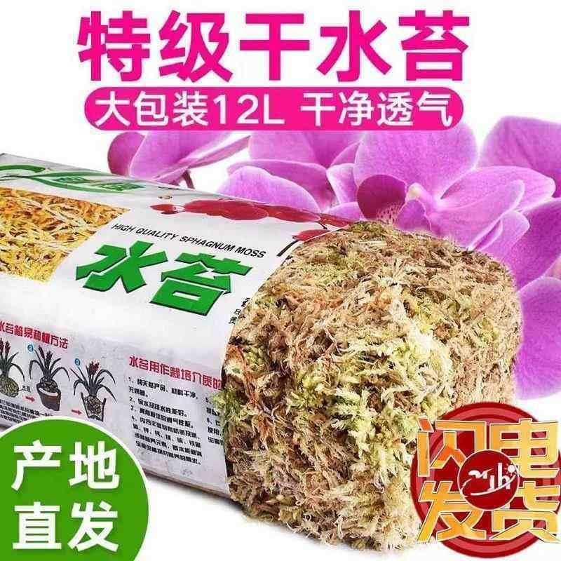 优质干水苔蝴蝶兰专用青苔兰花石斛猪笼草土苔藓鱼缸乌龟垫料花盆