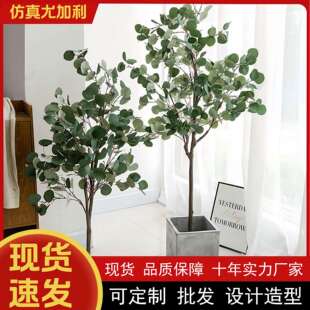 仿真尤加利树绿植盆栽金钱树大型室内北欧客厅假植物摆件网红装饰