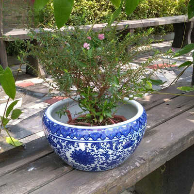 景德镇陶瓷器养金鱼大缸包邮乌龟盆水培植物睡莲碗莲水缸桌面摆件