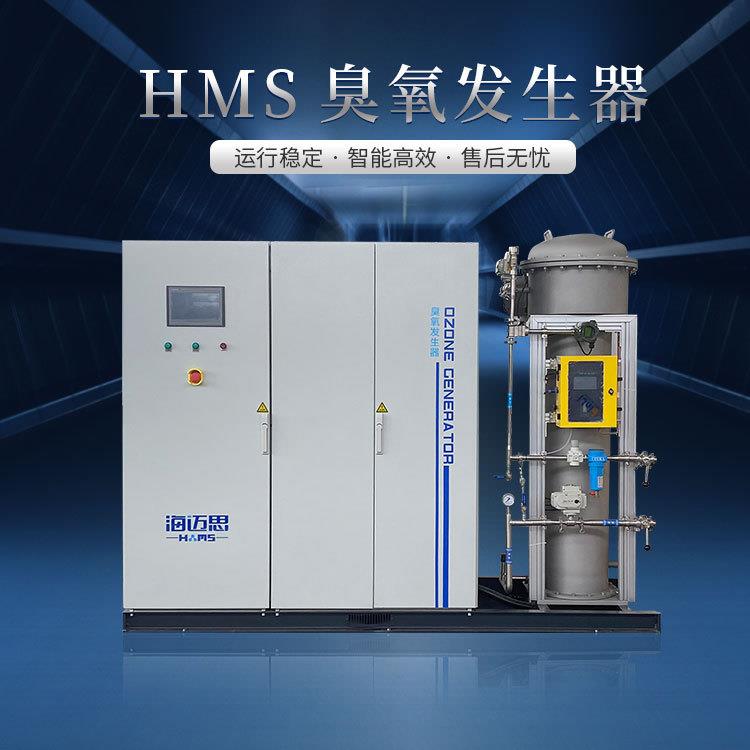 大型臭氧发生器工业污水处理降COD设备高级氧化装置1kg-80kg