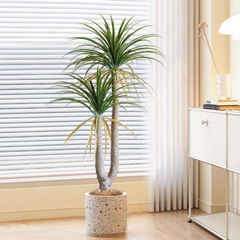 大型仿真绿植盆栽龙须树室内玄关落地装饰花摆件假树植物盆景摆设