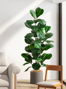 琴叶榕大型彷真绿色植物盆栽高端假树植物室内客厅玄关落地装饰花