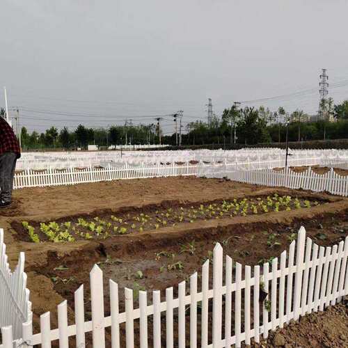 厂家)塑料pvc栅栏围栏菜园隔断校园别墅园林庭院篱笆花园花坛装饰