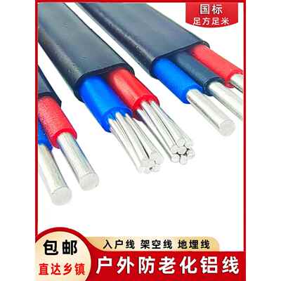 国标2芯电缆线铝芯家用户外电线 4 6 10 16 25平方双芯铝线护套线