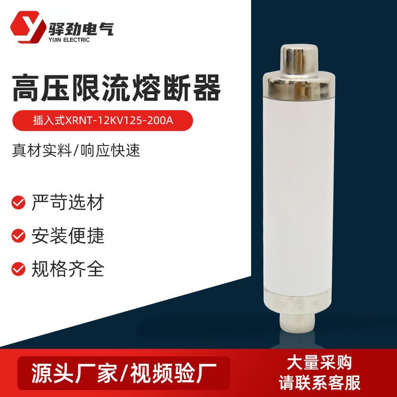 插入式高压限流熔断器XRNT-12KV125-200A高压限流熔断器