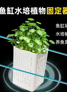水培固定篮鱼缸水草固定神器壁挂式种植杯鱼缸造景装饰黄金葛定植