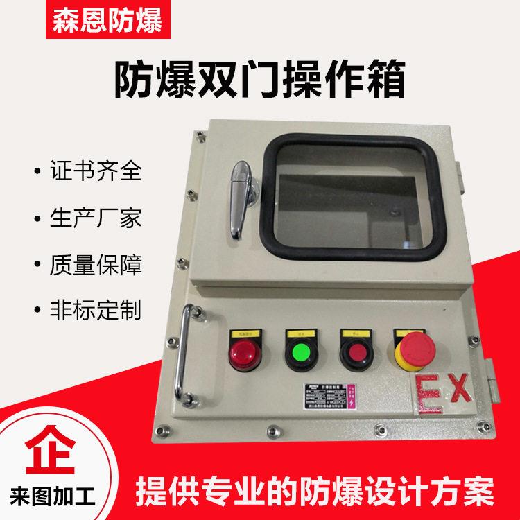定制防爆双门仪表控制箱透视窗仪表温控箱工业防尘防腐配电箱Q235