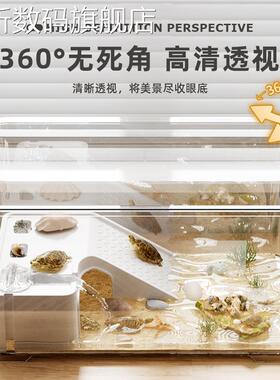 40421蟹寄居蟹饲养套装小型箱面带爬台躲避屋相守螃养殖箱 桌 乌龟摆件饰品