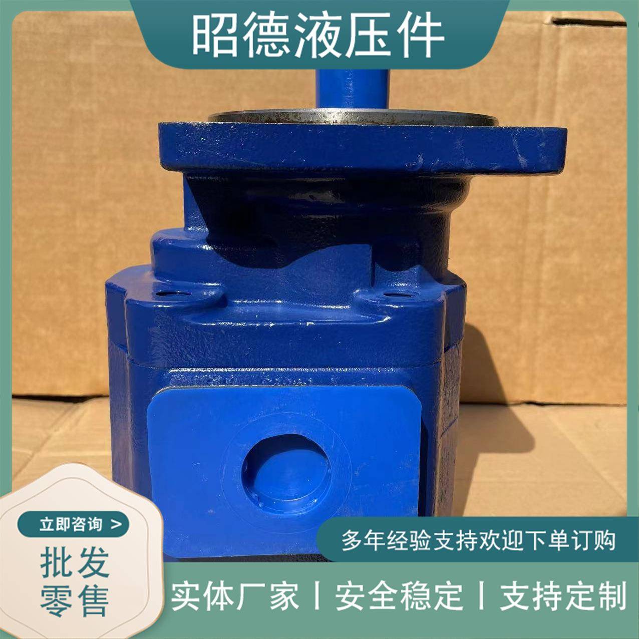 液压齿轮泵JHP2080齿轮泵成工50E-3配套铸铁齿轮泵图片
