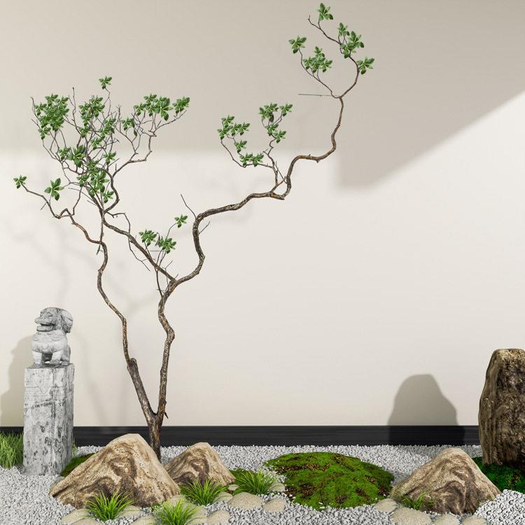 枯树大型造型马醉木树装饰真树干黄柏树大型落地造景装饰干树枝