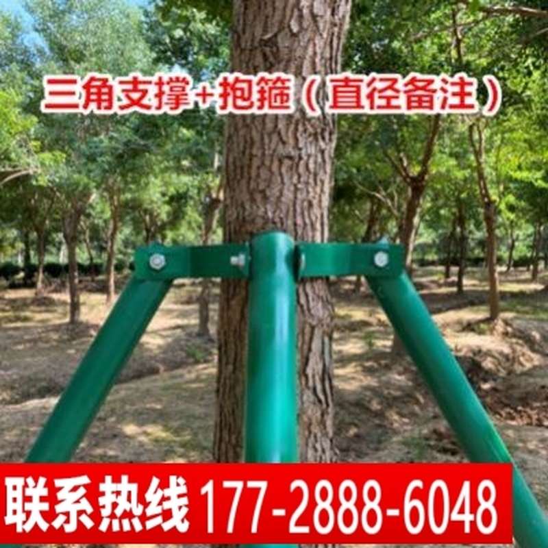 大树固定器铁抱箍防风树木支撑架支扶移栽支撑杆镀锌钢管绿色烤漆
