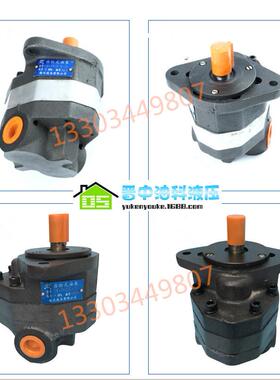 榆次液压齿轮泵CB-FA40-FL齿轮泵卧式铸铁装载机专用液压油泵定量
