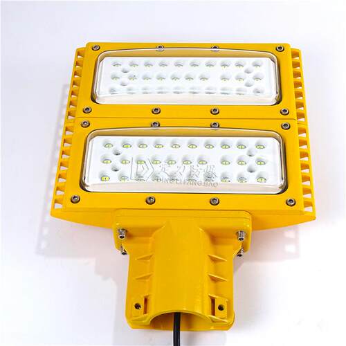 厂家直销防爆路灯5060直径80W100W6m8m单臂加油站高杆led灯