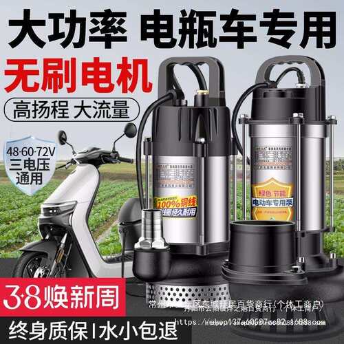 无刷直流潜水泵48v60v72v电动车电瓶车抽水泵浇菜农用灌溉机