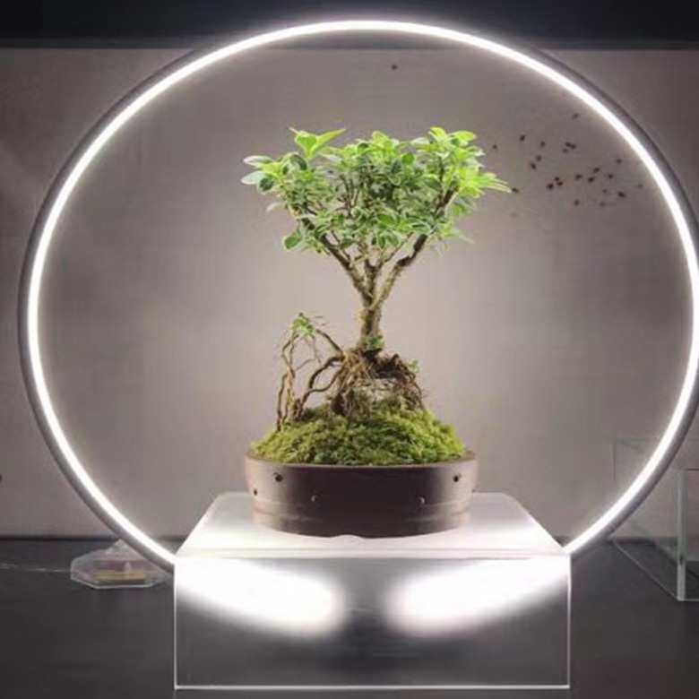 LED鱼缸灯水草景观 彩虹灯 迷你微景观水族植物补光灯水草灯