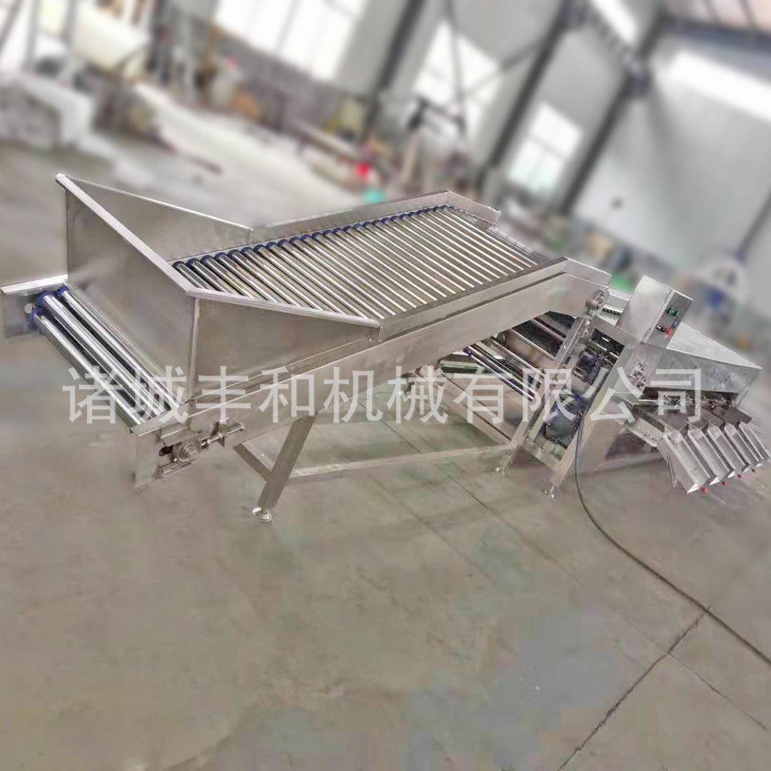 农产品分选设备厂家 香芋大小分级机 红薯分选机 土豆洋葱分级机