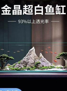 厂家1米长的鱼缸客厅长方形中型水族箱钢化玻璃一体成型裸缸生态
