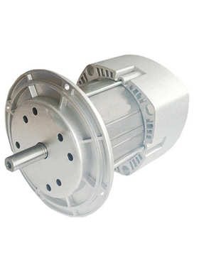 【卓凡电机】利雅路电机燃烧器风机RIELLO专用电机300W350WRS34RS