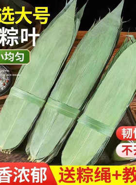 粽叶大叶批货野生粽叶烘干大粽叶5斤包邮晒干粽叶商用5斤野生粽叶