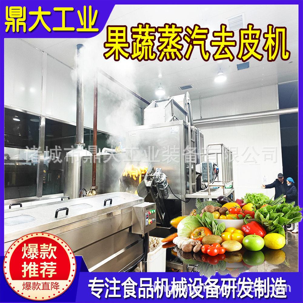 隆坤蒸汽去皮机全自动黄桃葡萄加工设备头生产线蒸汽脱皮机厂家