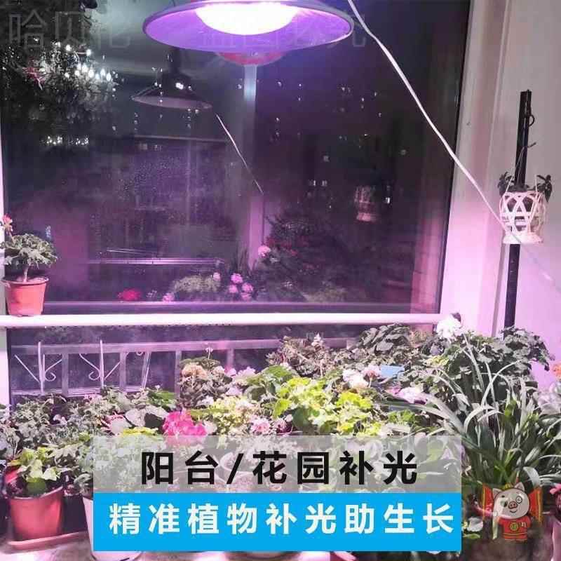 蔬菜光全多大棚阳肉台谱上植物生长灯大功WDP率补植光灯种LED色室