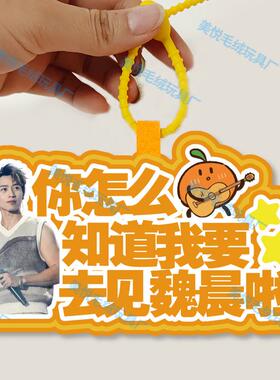 你怎么知道我要去看魏晨演唱会不织布包包挂件定制应援包包挂饰