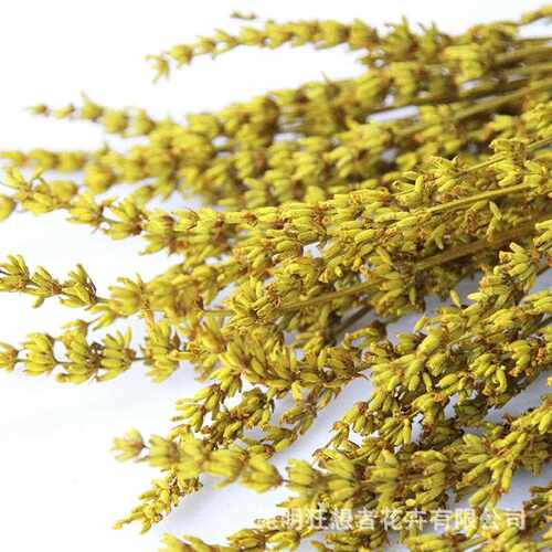 新款直销狂想者永生花薰衣草干花薰衣草干花永生花家居装饰插花di