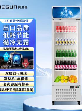 单门饮料冰箱冰柜冷藏展示柜立式冰柜冷藏保鲜柜啤酒冷藏柜
