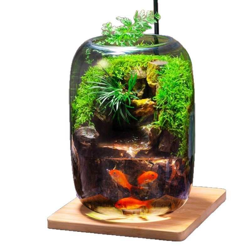 石上清泉流水款养鱼缸真植物苔藓微景观生态瓶办公室成品室内送礼