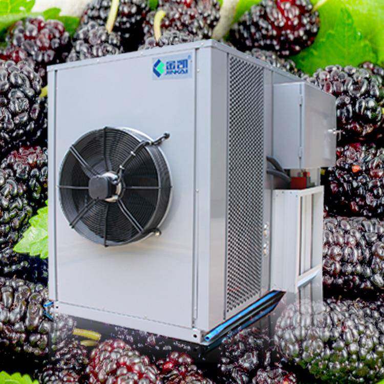 桑葚小型空气能 食品烘干机热泵节能